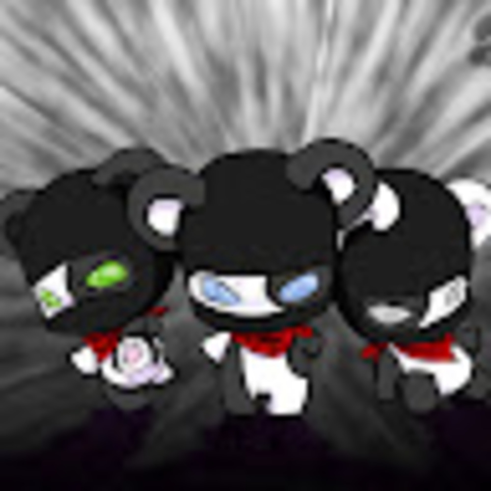 Meet your Posher, Allysa